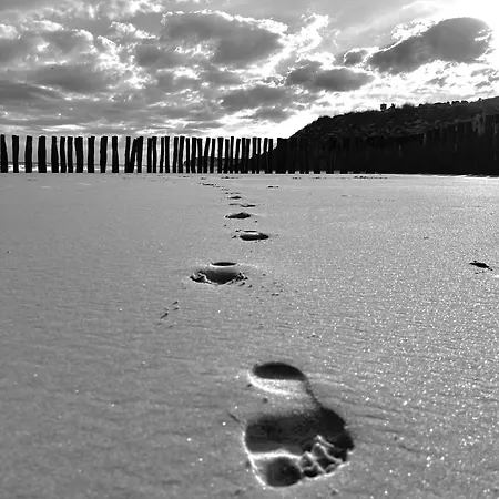 Le Secret D'opale ويسانت