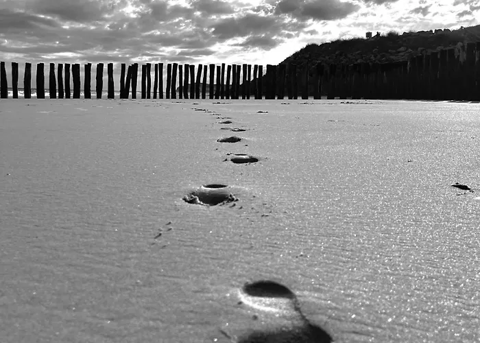 Le Secret D'opale Wissant